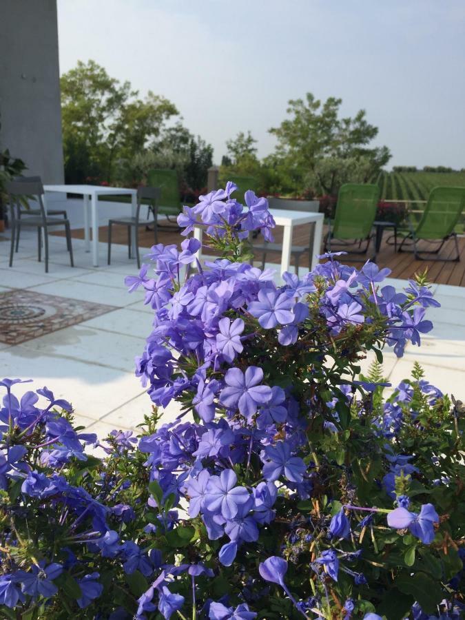 Villa Poggio ברדולינו מראה חיצוני תמונה
